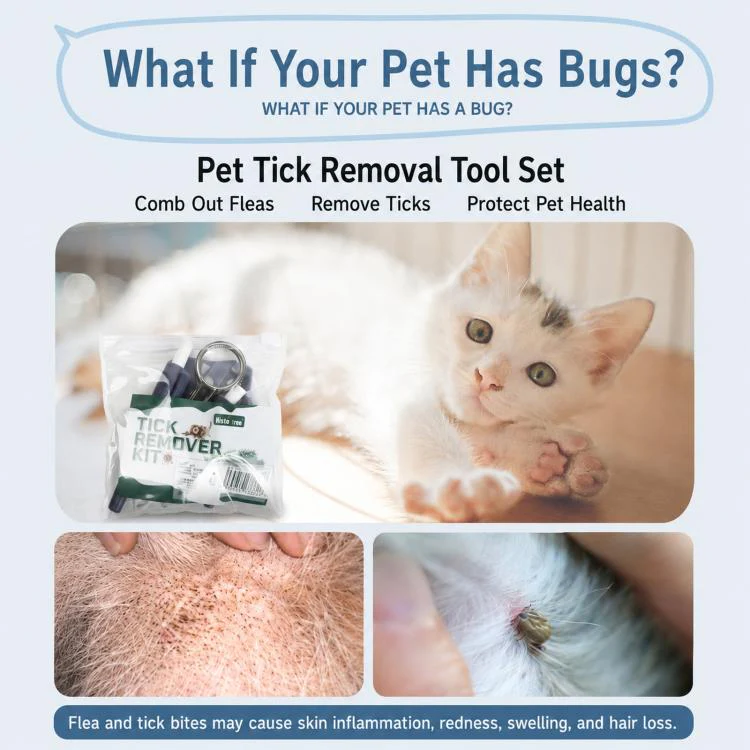 10-Piece Pet Tick Remover Kit with Magnifying Glass Tweezers, Lasso Pen, Flea Comb(Blue) - Image 3