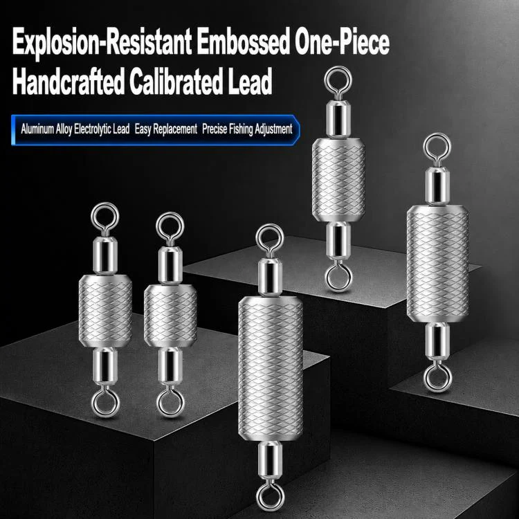 5pcs Dual Loop Embossed Scale Integrated Fishing Lead Sinker, Weight:10g - Image 3