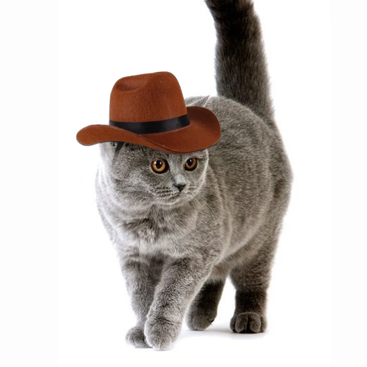 Adjustable Pet Cowboy Hat Dog Cosplay Cap Holiday Costume Party Decoration, Size: M(Black) - Image 6