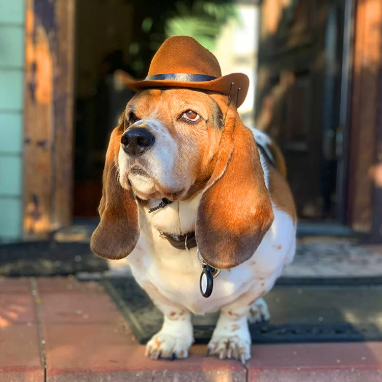 Adjustable Pet Cowboy Hat Dog Cosplay Cap Holiday Costume Party Decoration, Size: S(Wine Red) - Image 7