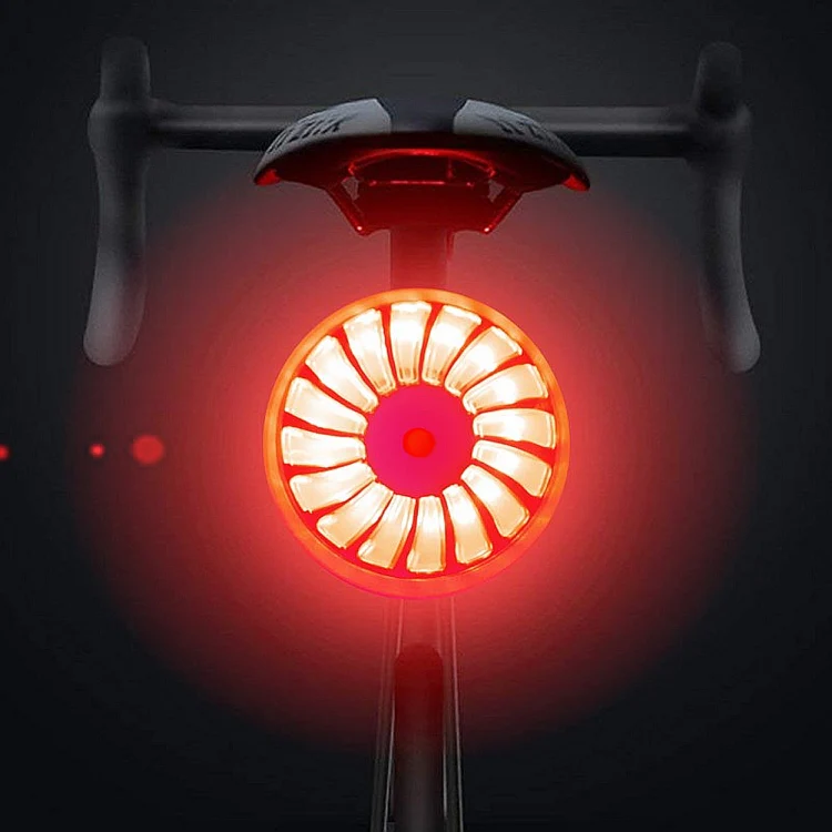 Bicycle Smart Sensor Brake Light USB Tail Light Warning Light(Black) - Image 6