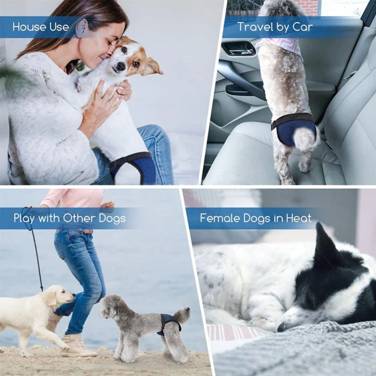 Breathable Dog Physiological Pants Menstrual Pants Anti-harassment Sanitary Pants Black XL: 50-59cm - Image 5