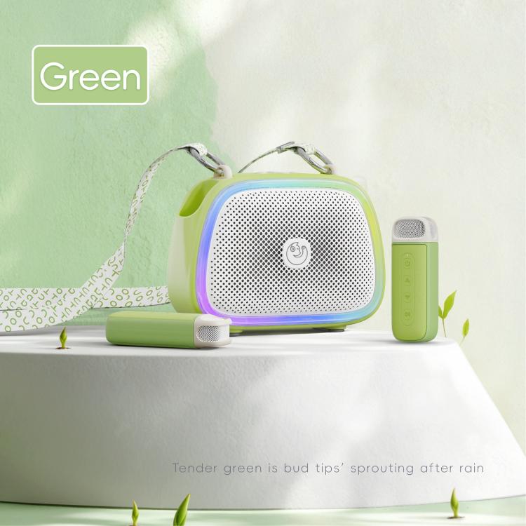 C22 Portable Karaoke Wireless Speaker with Microphone and Shoulder Strap(Green)