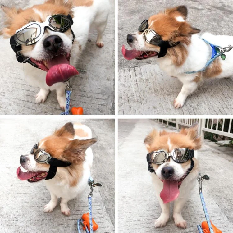 Dog Glasses Sunglasses Pet Glasses(Silver) - Image 10