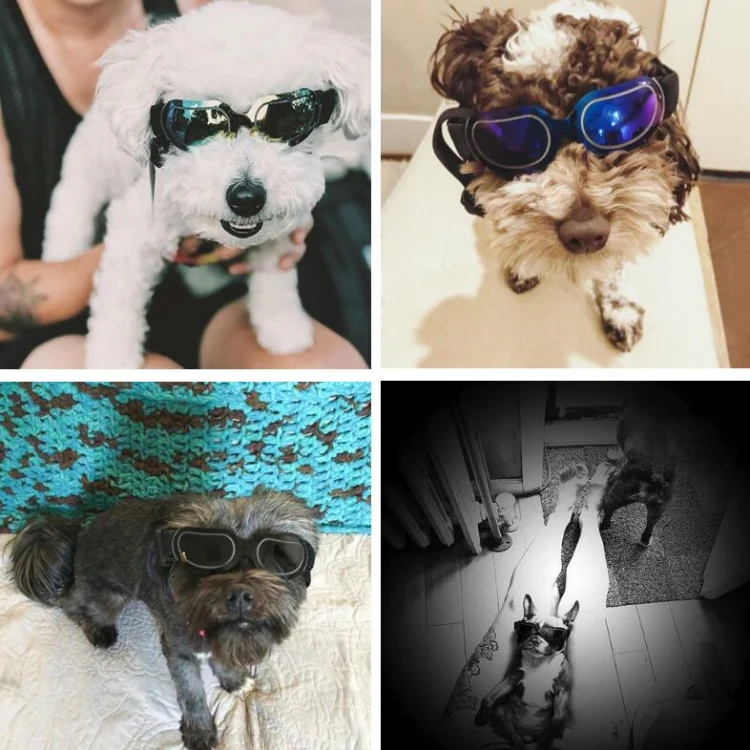 Dog Glasses Sunglasses Pet Glasses(Silver) - Image 11