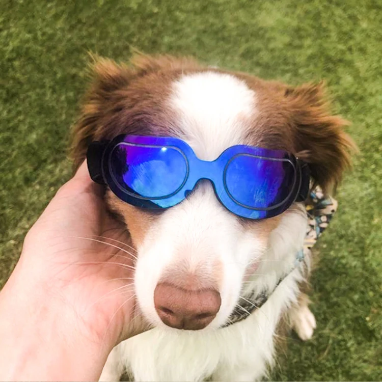 Dog Glasses Sunglasses Pet Glasses(Silver) - Image 7