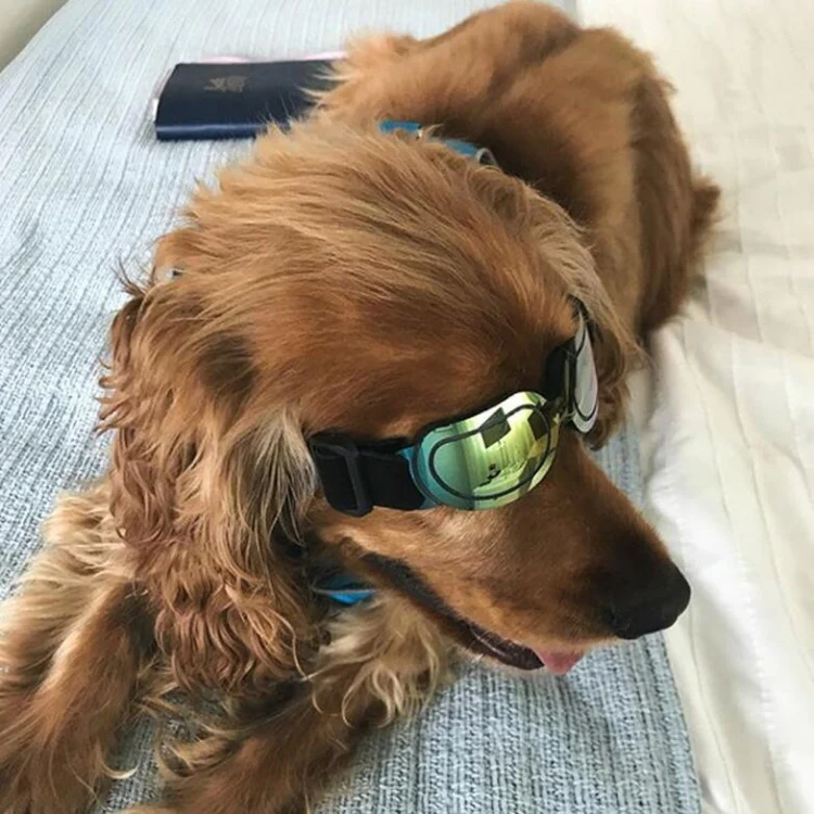 Dog Glasses Sunglasses Pet Glasses(Silver) - Image 9