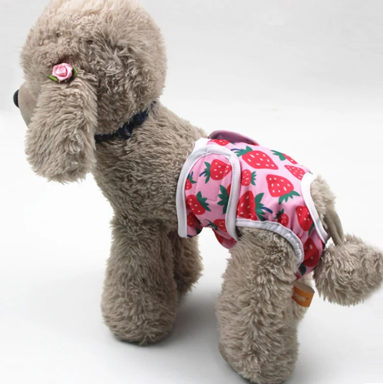 Female Dog Physiological Pants Dog Estrus Anti-Harassment Pants, Size: S(Strawberry)