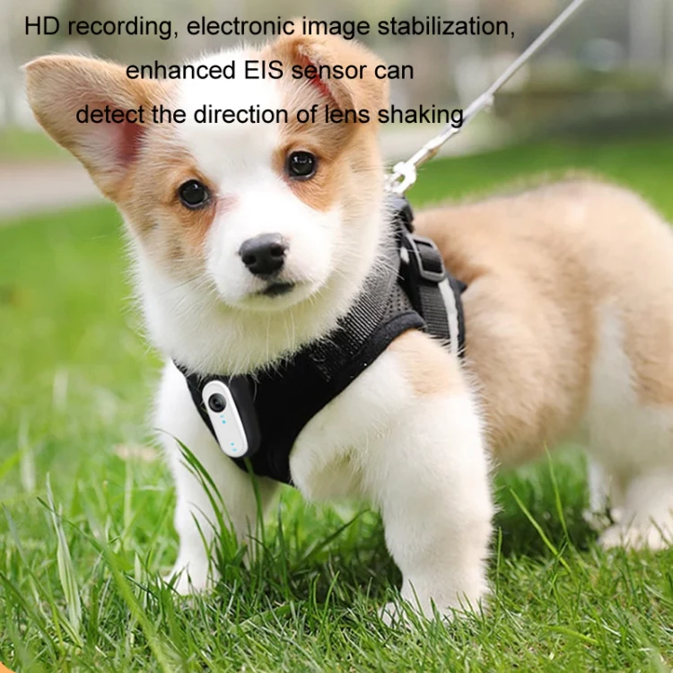 HD Outdoor Portable Pet Recorder Cycling Sports Camera, Specifications: With Silicone Collar+32G TF Card - Image 4
