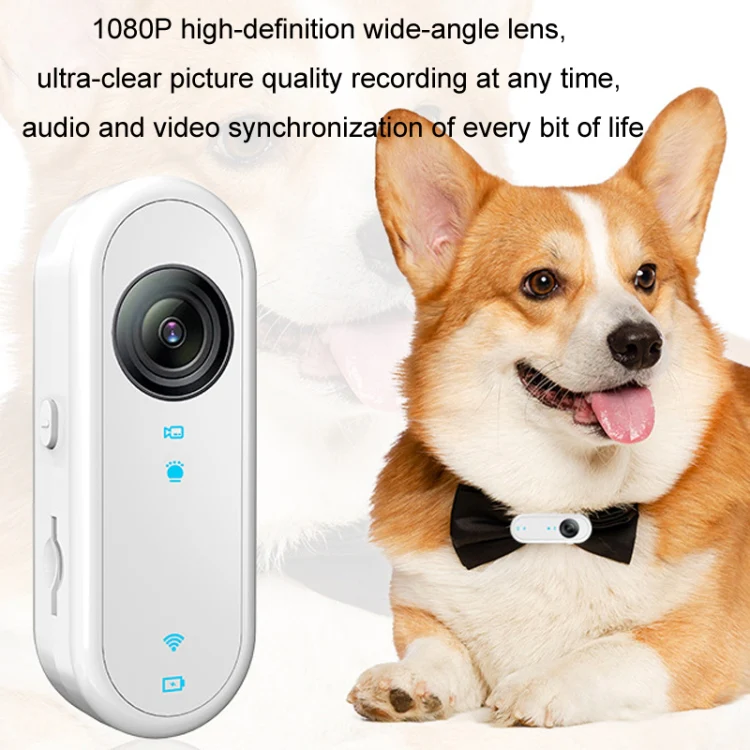 HD Outdoor Portable Pet Recorder Cycling Sports Camera, Specifications: With Silicone Collar+32G TF Card - Image 6