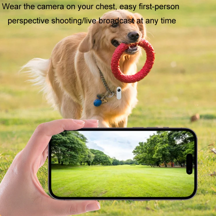 HD Outdoor Portable Pet Recorder Cycling Sports Camera, Specifications: With Silicone Collar+32G TF Card - Image 8