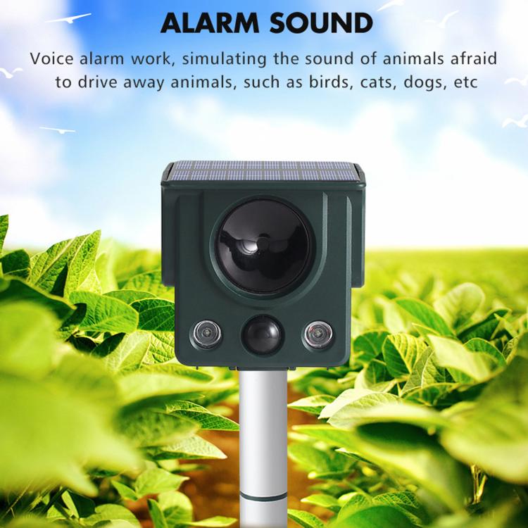 Infrared Sensor LED Strobe Ultrasonic Solar-Powered Animal Repellent(SJZ058) - Image 4