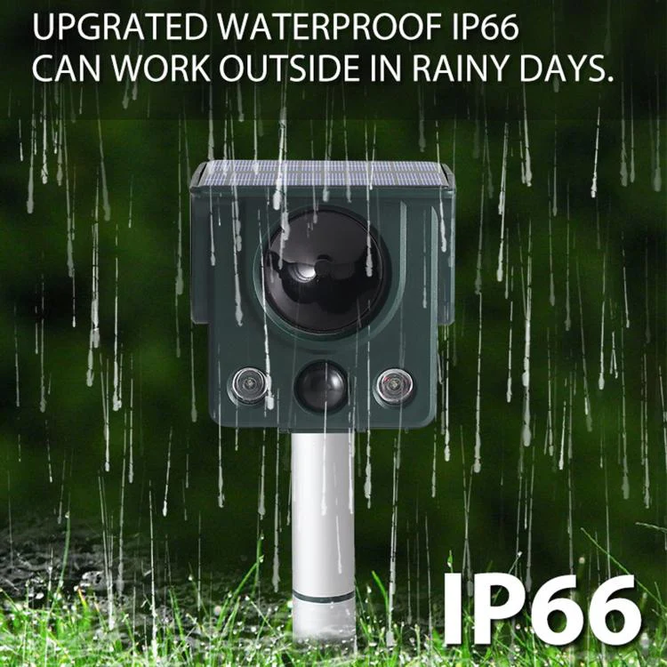 Infrared Sensor LED Strobe Ultrasonic Solar-Powered Animal Repellent(SJZ058) - Image 7