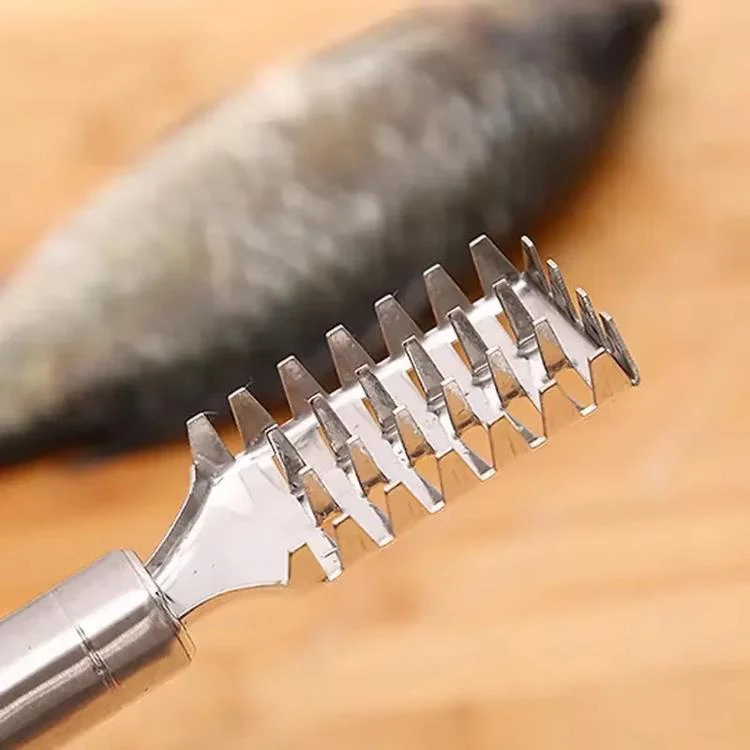 LsCook Square Stainless Steel Fish Scaler - Image 6