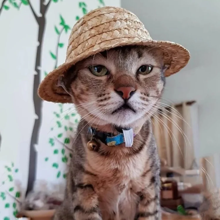 Mini Pet Straw Hat Cat Dog Birthday Party Sun Visor Hat, Size: M 13cm - Image 7