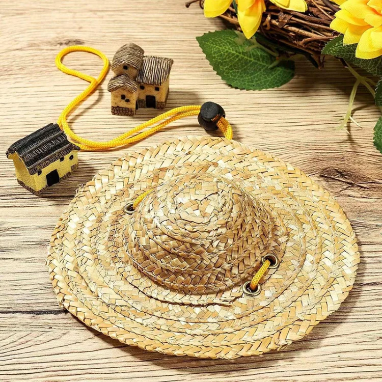Mini Pet Straw Hat Cat Dog Birthday Party Sun Visor Hat, Size: S 10cm - Image 5
