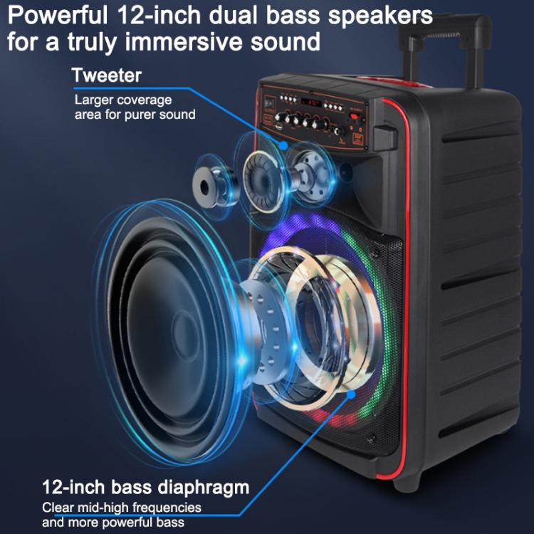 N-625 Outdoor Karaoke 12-inch Woofer RGB Portable Trolley Bluetooth Speaker with Dual Wireless Mic, Plug:EU Plug(Black) - Image 6