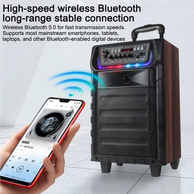 N-810 Outdoor Karaoke 8-inch Woofer RGB Trolley Bluetooth Speaker with Dual Wireless Mic, Plug:UK Plug(Black) - Image 9