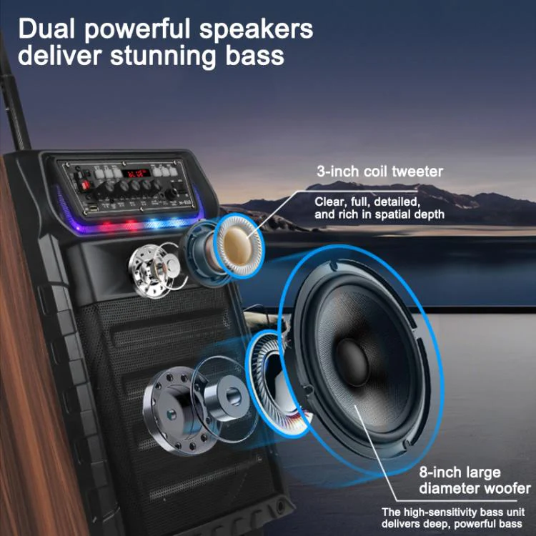 N-810 Outdoor Karaoke 8-inch Woofer RGB Trolley Bluetooth Speaker with Dual Wireless Mic, Plug:US Plug(Black) - Image 6