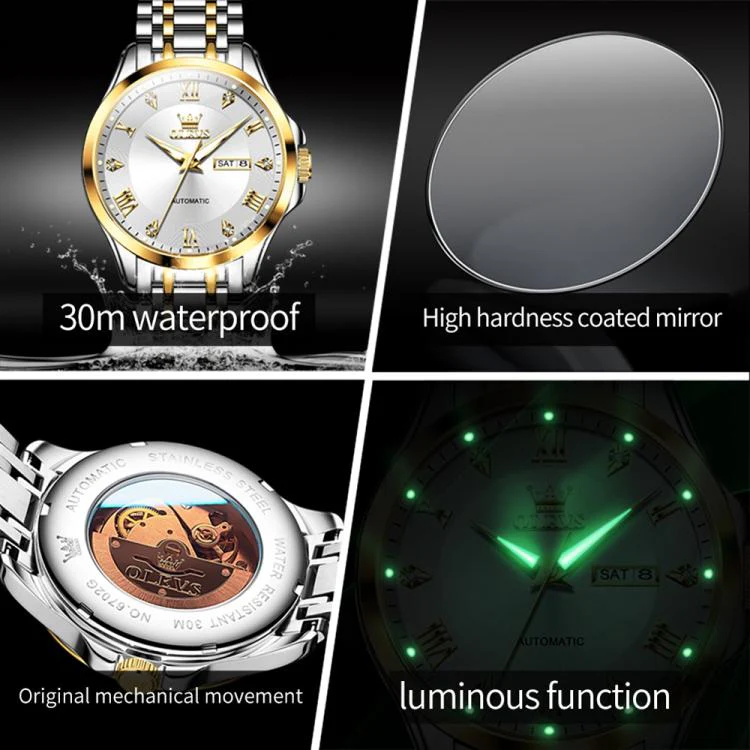 OLEVS 6702 Men Waterproof Luminous Dual Calendar Mechanical Watch(White Gold) - Image 4