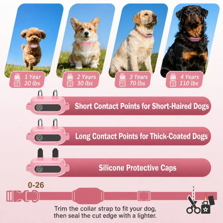 PaiPaitek Dog Training Collar With Remote 1000M Range IPX7 Waterproof Collar, Color: PD 523-1 Pink - Image 8