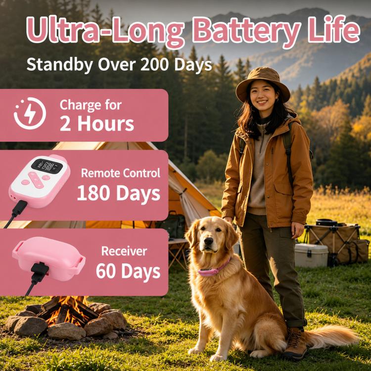 PaiPaitek Dog Training Collar With Remote 1000M Range IPX7 Waterproof Collar, Color: PD 523-2 Pink - Image 4