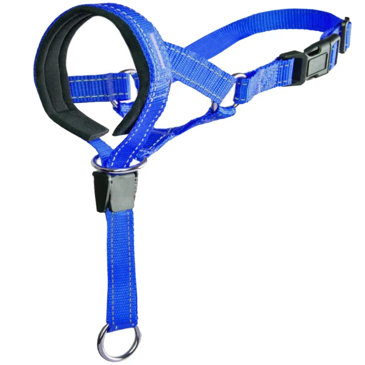 Pet Anti-Bite Leash Cover Riot Rush Pull Dog Leash, Size: L(Blue)