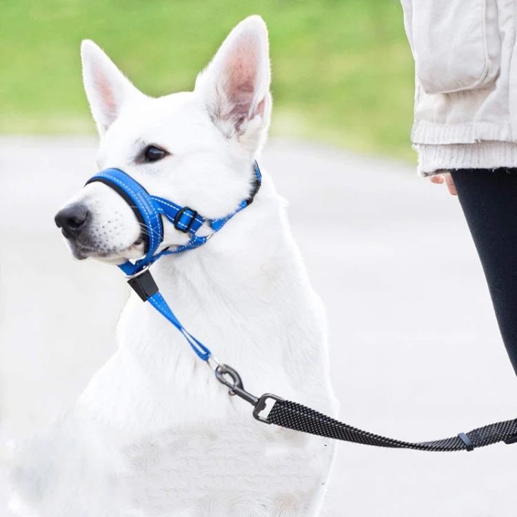 Pet Anti-Bite Leash Cover Riot Rush Pull Dog Leash, Size: L(Blue) - Image 7