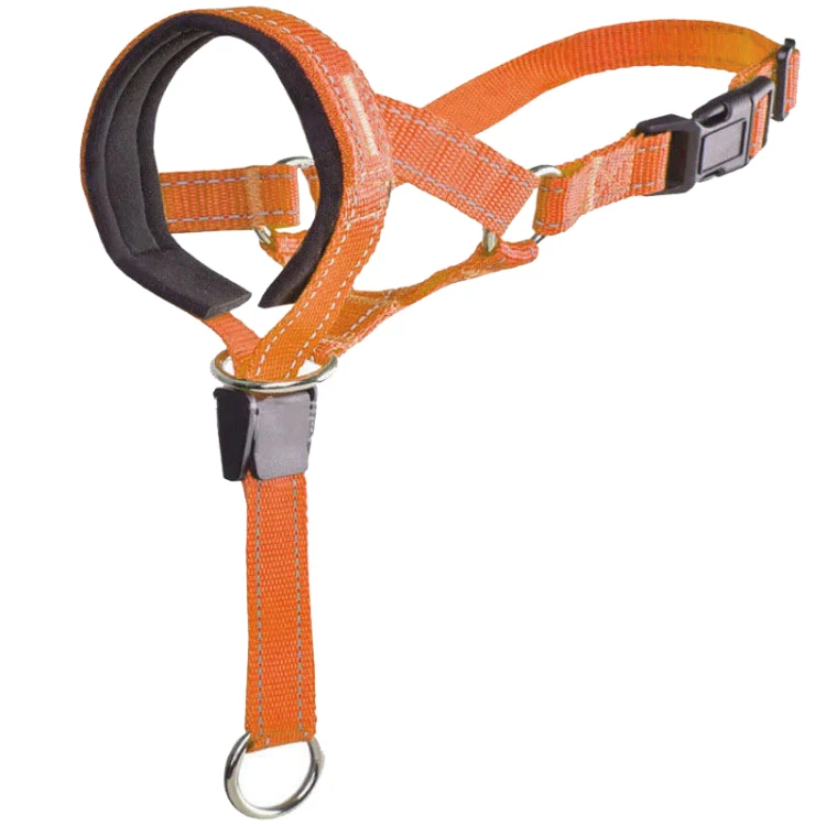 Pet Anti-Bite Leash Cover Riot Rush Pull Dog Leash, Size: L(Orange)