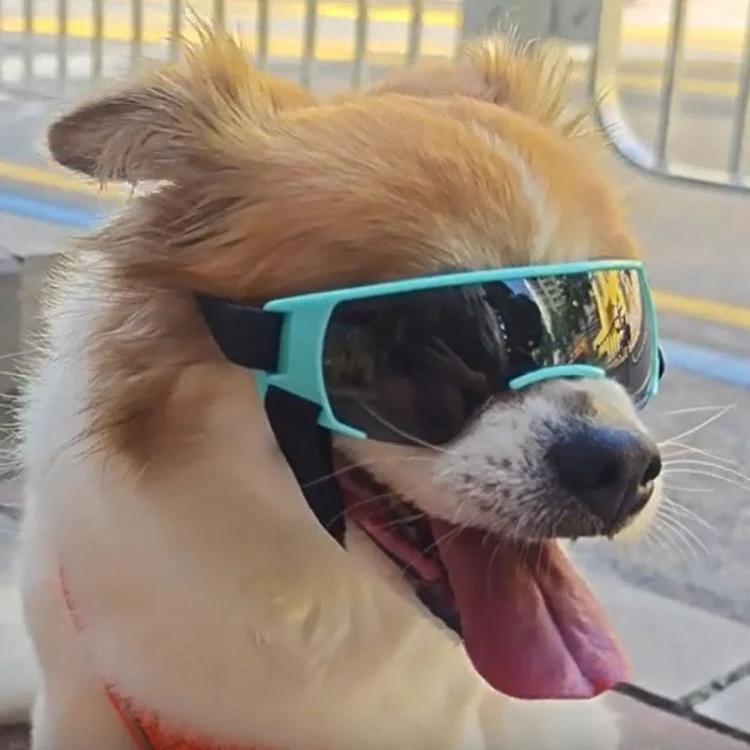 Pet Dog Sunglasses Soft Adjustable Sun Protection Pet Goggles For Small Medium Dogs(Pink) - Image 6