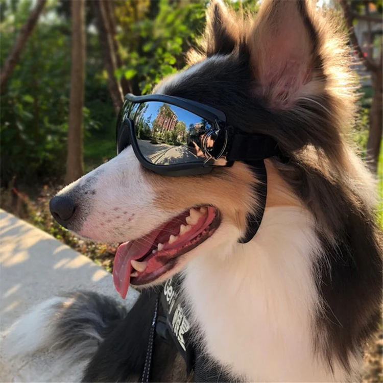 Pet Glasses Big Dog Goggles Waterproof Windproof Sunscreen UV Protection - Image 9