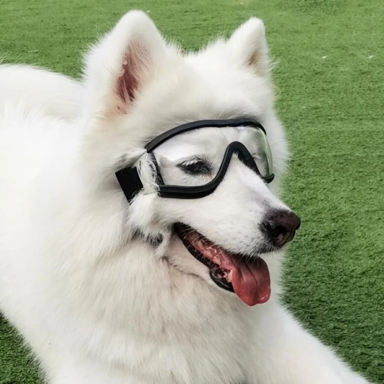 Pet Goggles Dog Transparent Glasses Waterproof Windproof Snow Goggles Dog Glasses(Transparent) - Image 10
