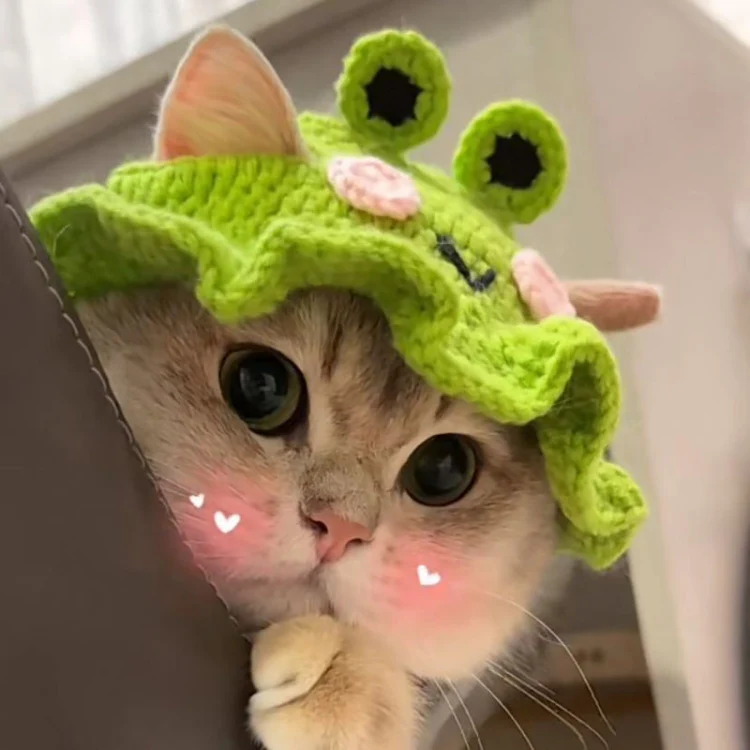Pet Headgear Props Cats And Dogs Knitted Hat Headwear, Size: S(Pink Flower) - Image 3