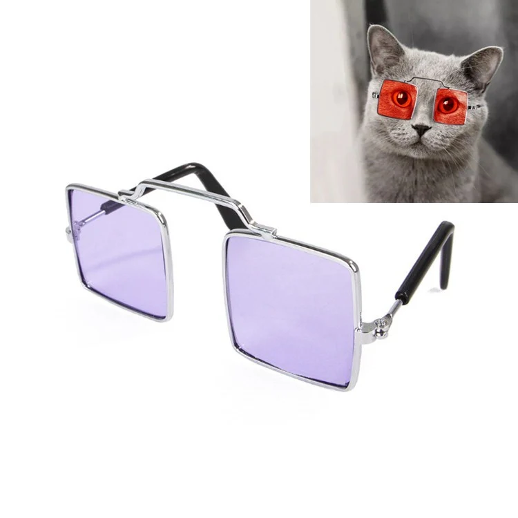 Pet Jewelry Cat Photo Funny Props Personality Glasses(Transparent Purple)