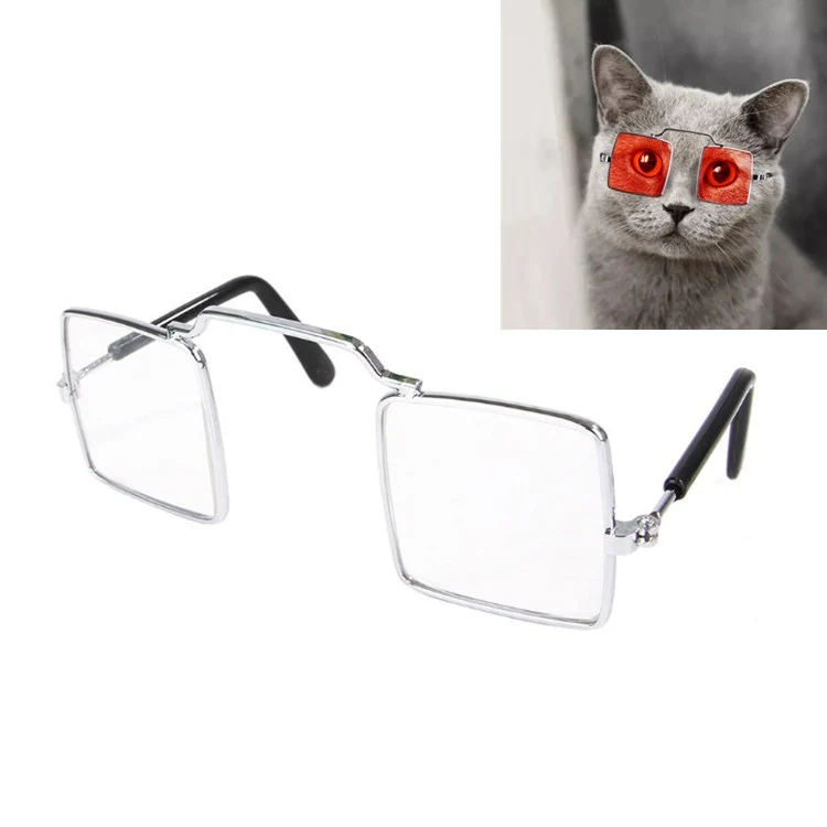 Pet Jewelry Cat Photo Funny Props Personality Glasses(Transparent White)