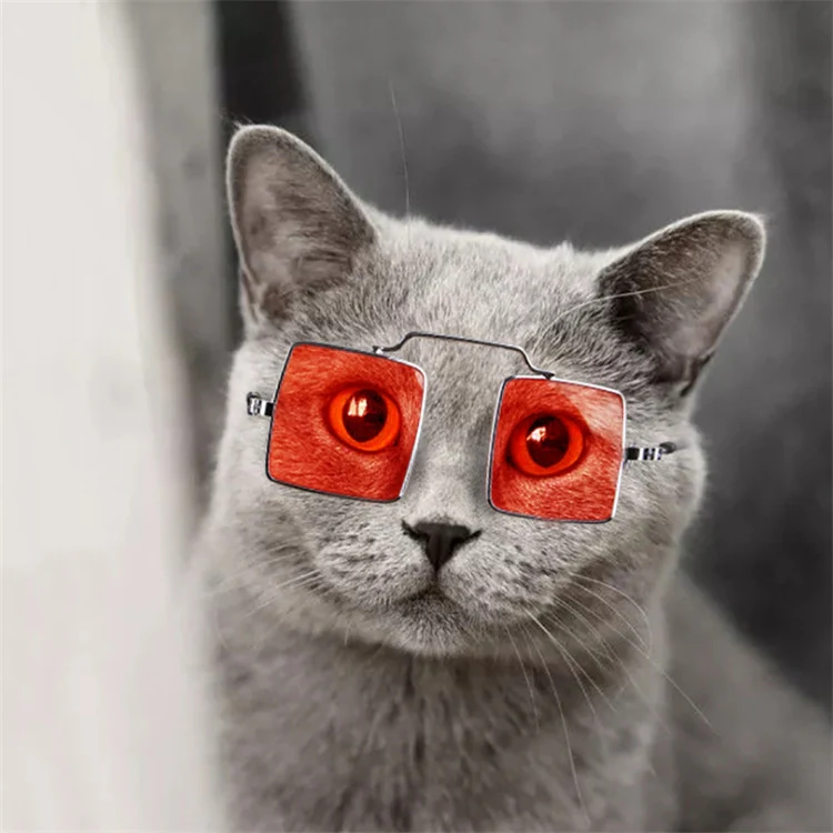 Pet Jewelry Cat Photo Funny Props Personality Glasses(Transparent Yellow) - Image 5