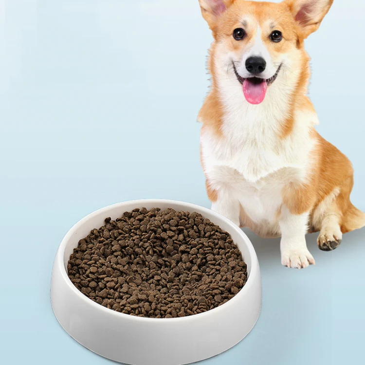 Planet Shape Pets Anti-Choking Slow Eating Bowl Cats And Dogs Spill Resistant Food Holder(White) - Image 9