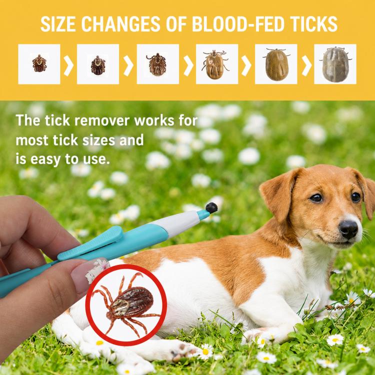 Retractable Tick Remover Lasso Slide Lock Extraction Loop Pen with Standing Base(Lake Blue) - Image 6