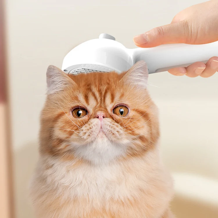 RK56 USB Charging Spray Pet Grooming Comb Cat and Dog Hair Removal Tool Pet Products(Green) - Image 9