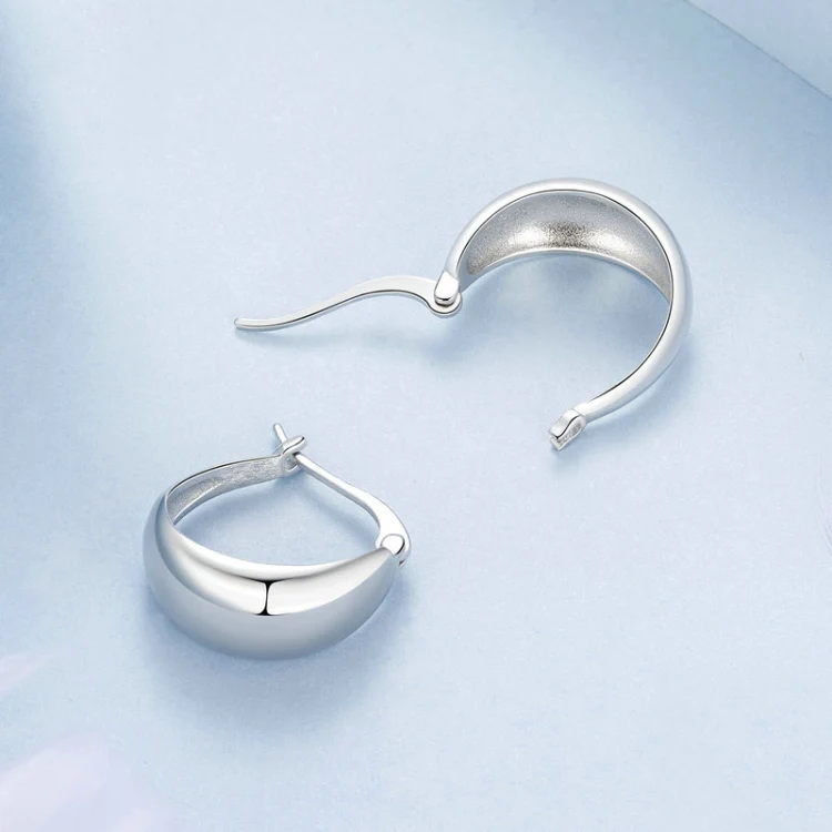 S925 Sterling Silver Metallic Earrings(BSE967) - Image 4