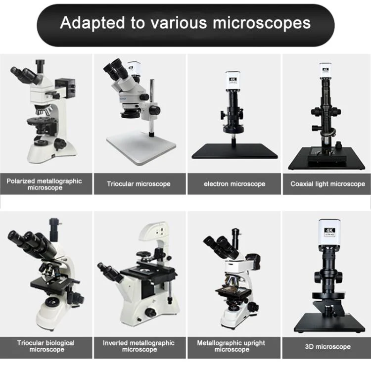 TAIDA TD-4KAF 60FPS CCD Edge Detection 4K Industry Microscope Camera, Plug:US Plug - Image 5