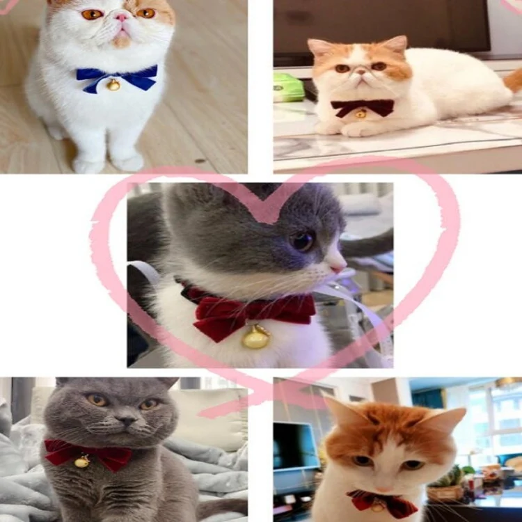Velvet Bowknot Adjustable Pet Collar Cat Dog Rabbit Bow Tie Accessories, Size:S 17-30cm, Style:Bowknot(Bean Paste) - Image 6