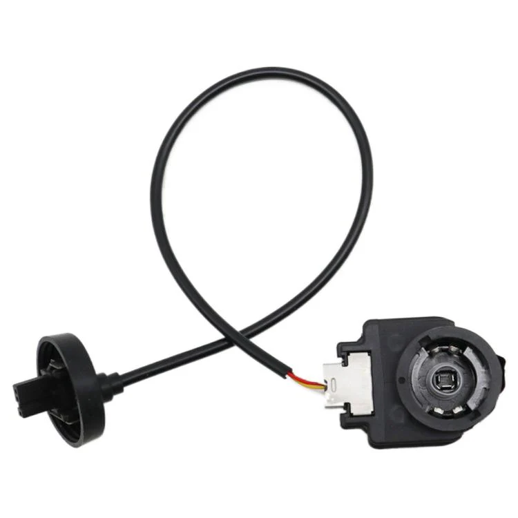 W3T216 High-Voltage Head Ballast D4 Igniter For Mazda / Honda / Mitsubishi / Pajero(With Wiring)